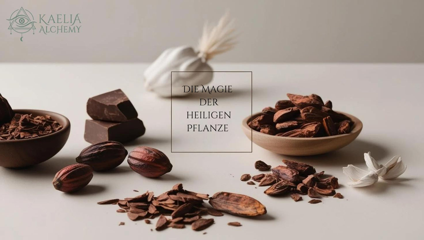 Zeremonieller Kakao – Die Magie der heiligen Pflanze 🍫✨